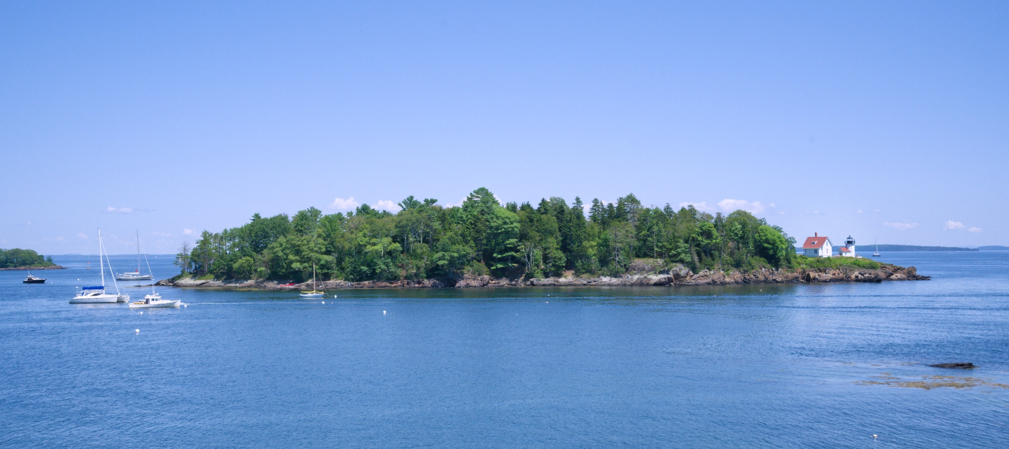 a tree-covered island in a deep blue ocean